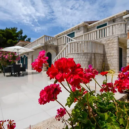 Exclusive Holiday Aria - Dingac, Peljesac Vila *
