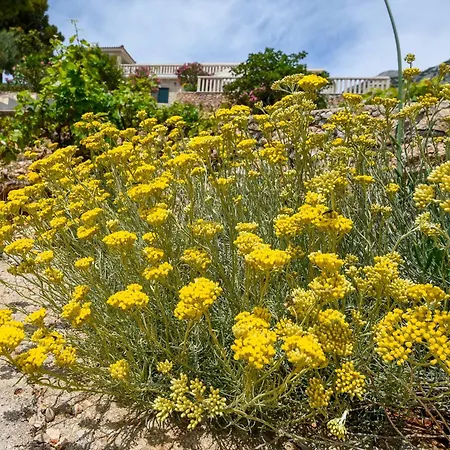 Exclusive Holiday Aria - Dingac, Peljesac